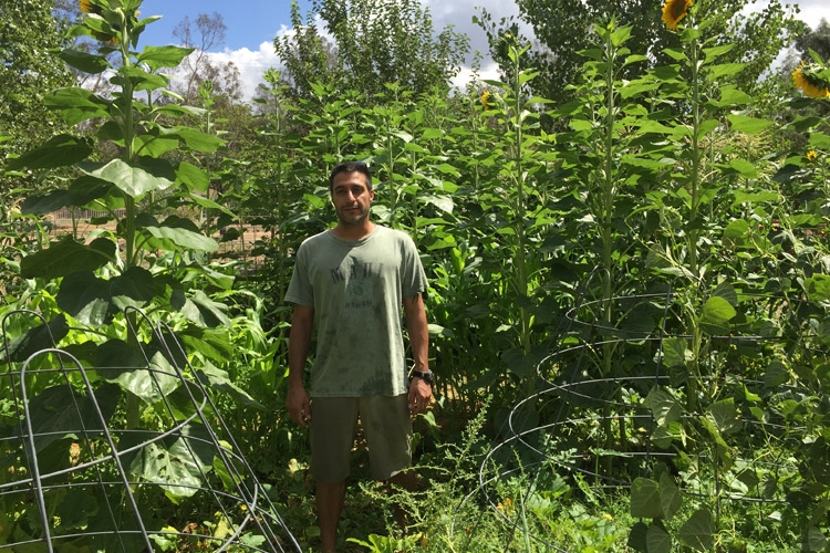 Ed Porter at home, in the family garden